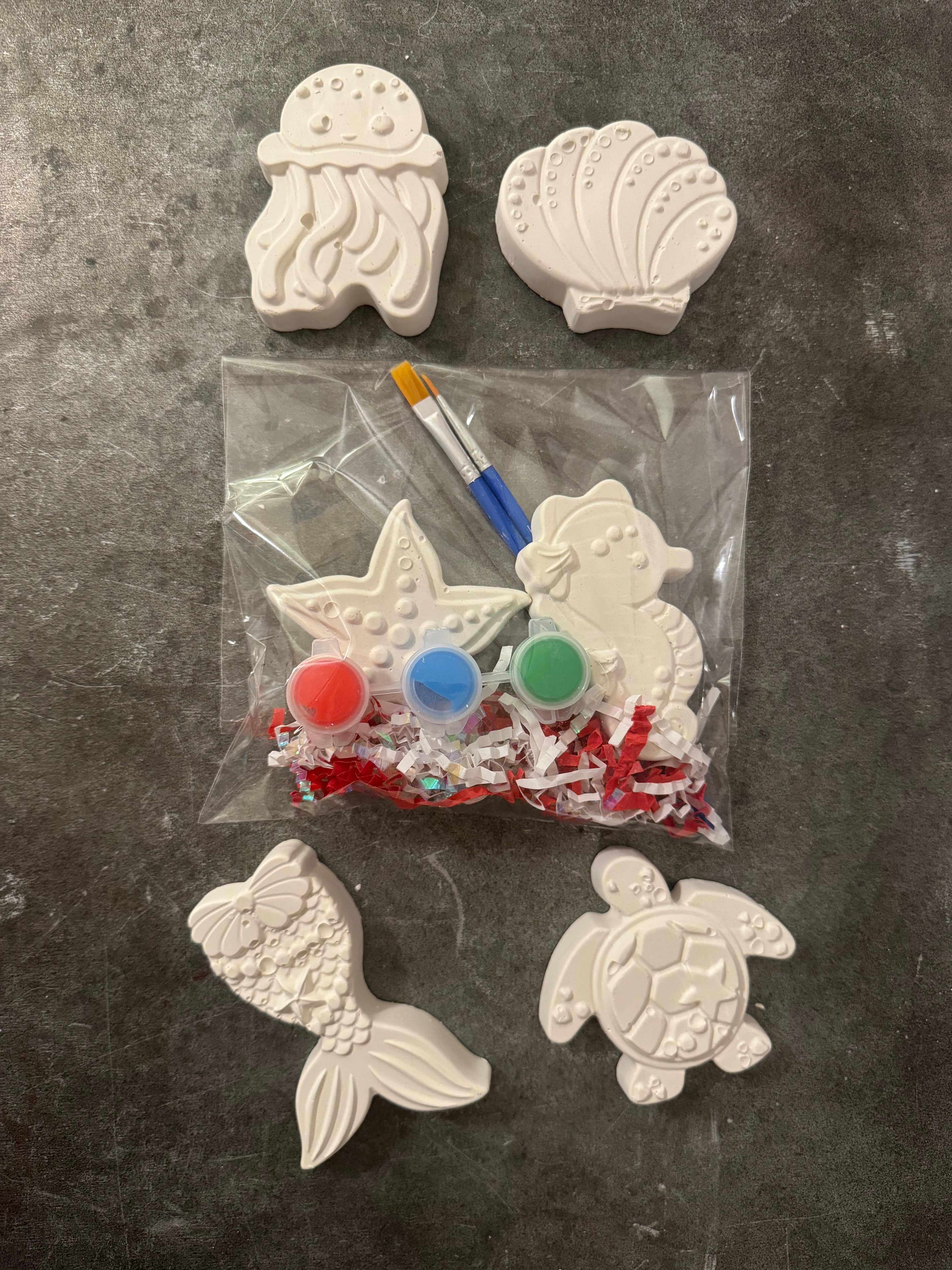 Sea Animals Plaster Kit