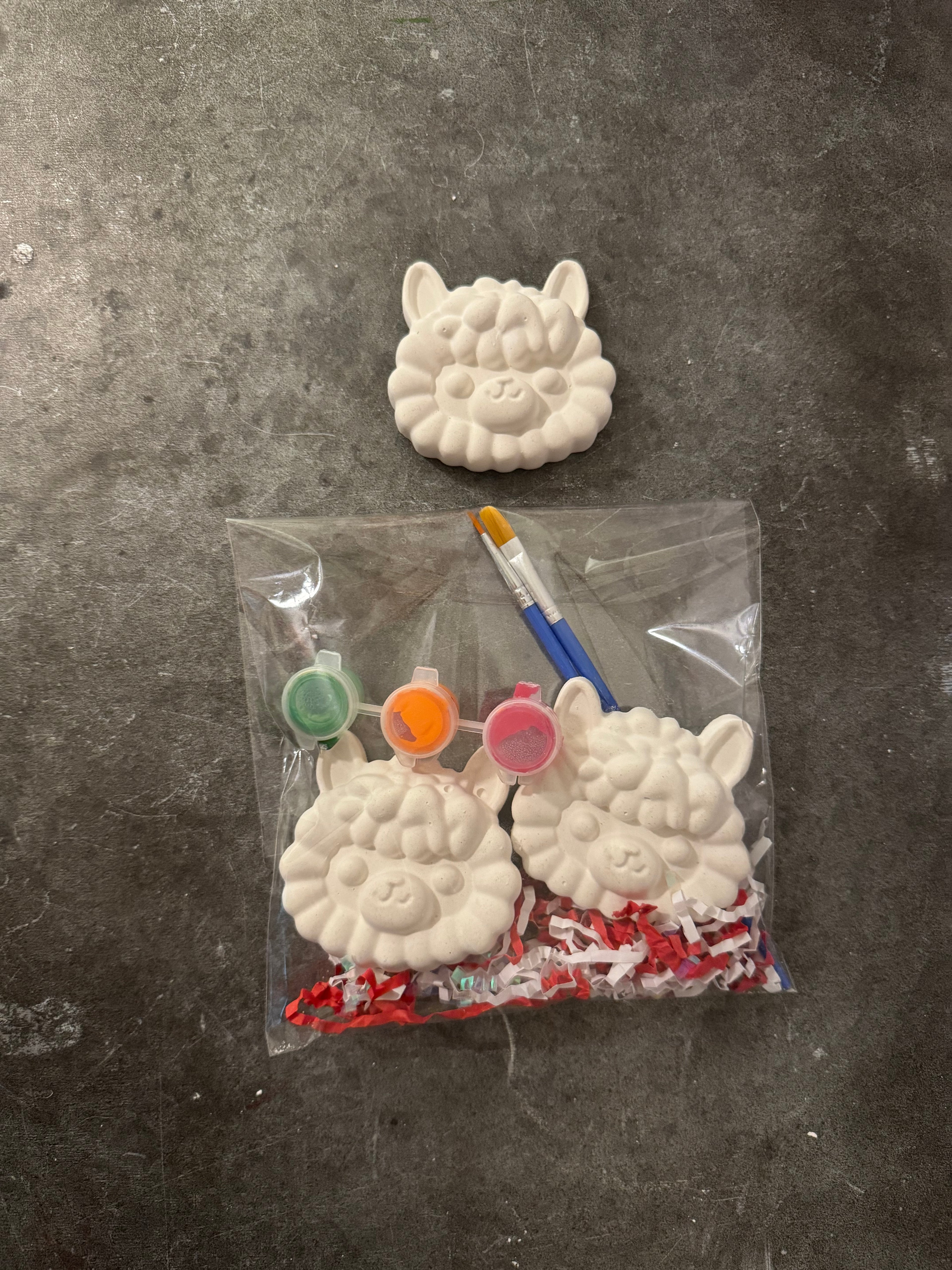 Alpaca Face Plaster Kit