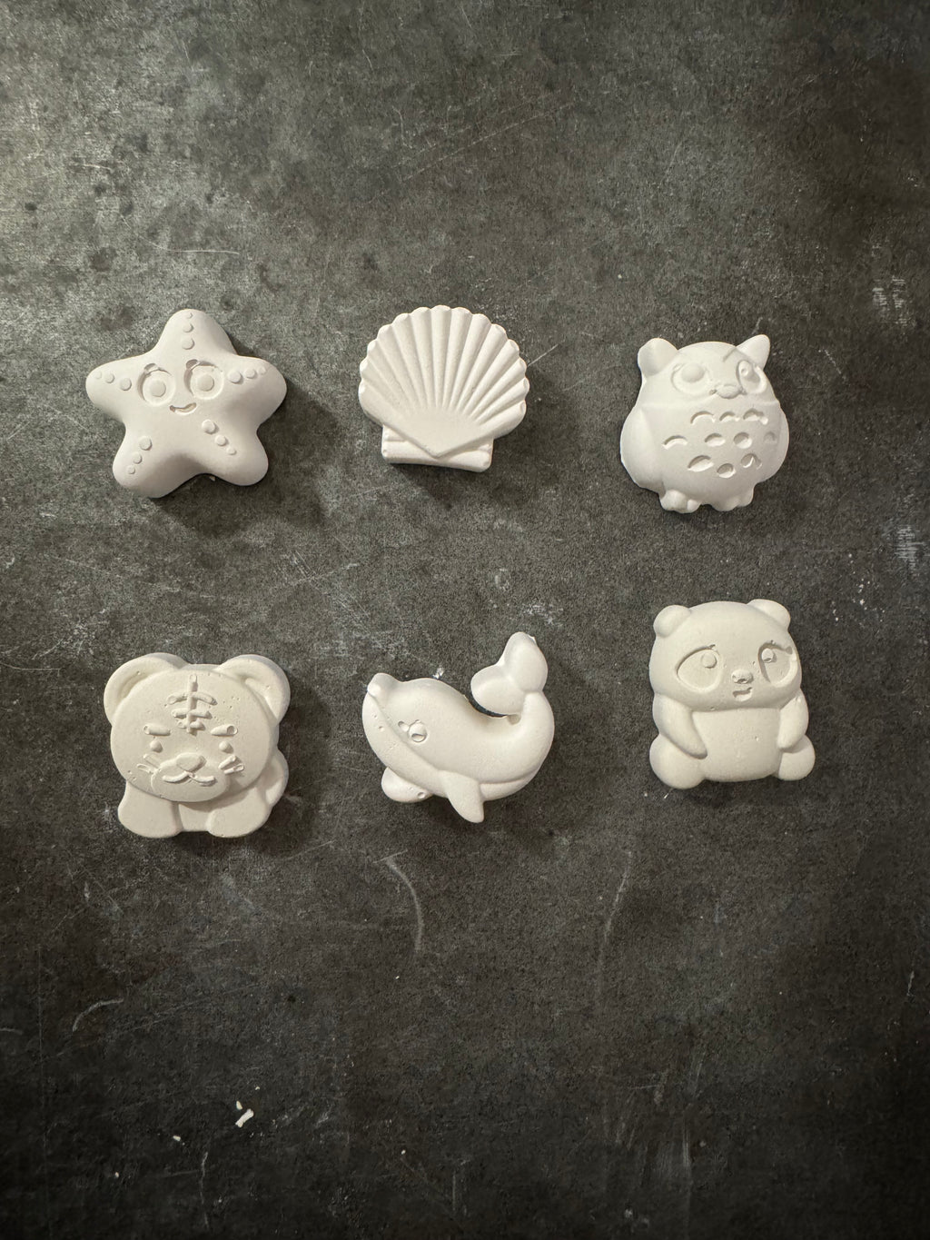 Baby Animal Plaster Kit