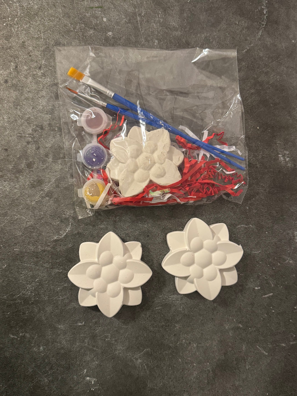 Poppy Flower Plaster Kit
