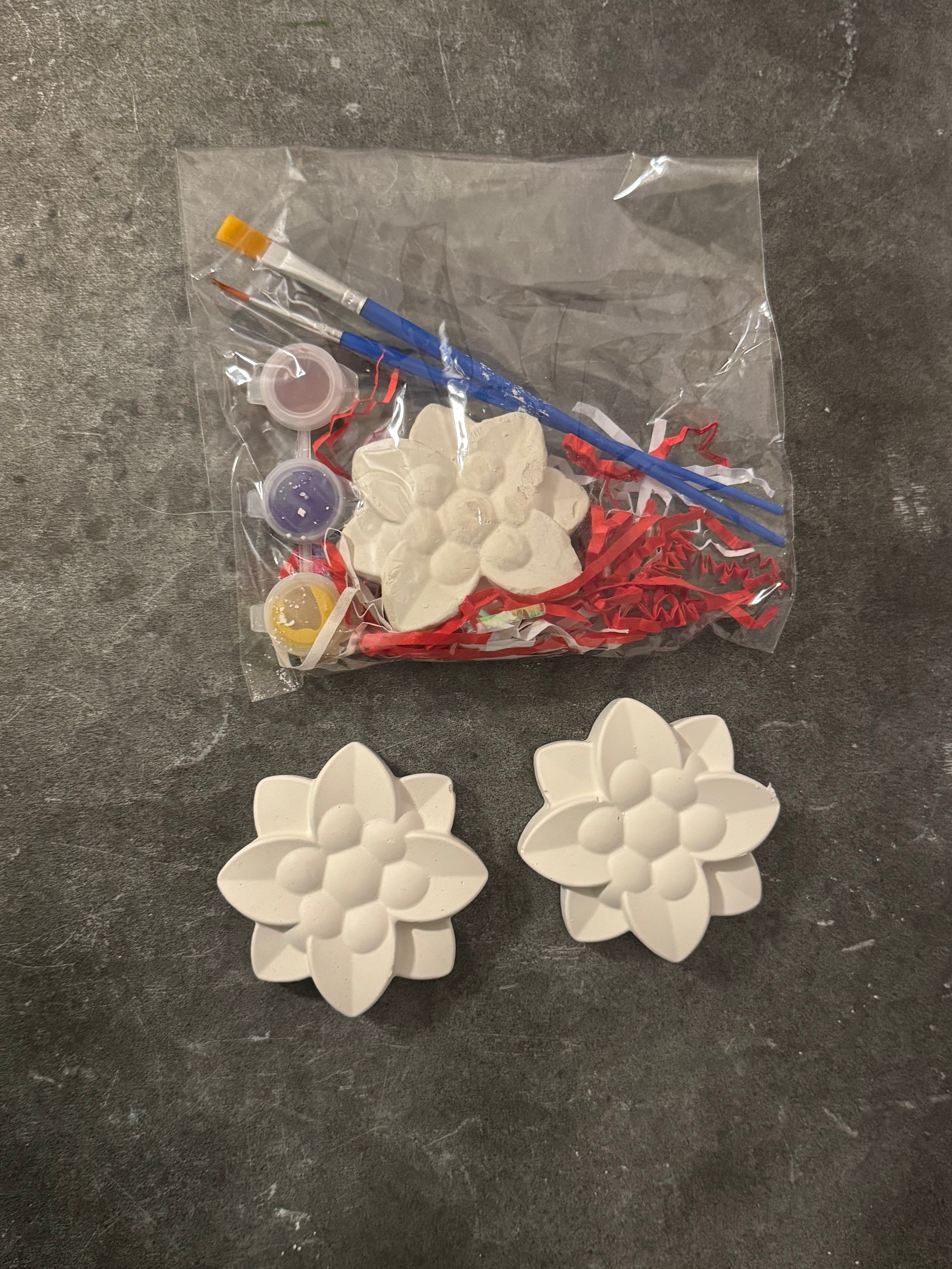 Poppy Flower Plaster Kit