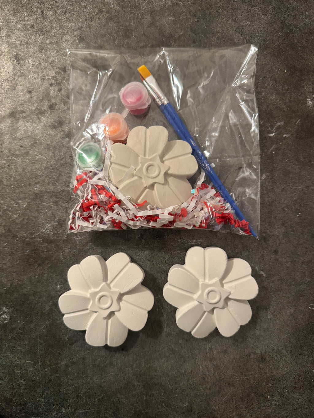 Snowdrop Flower Plaster Kit